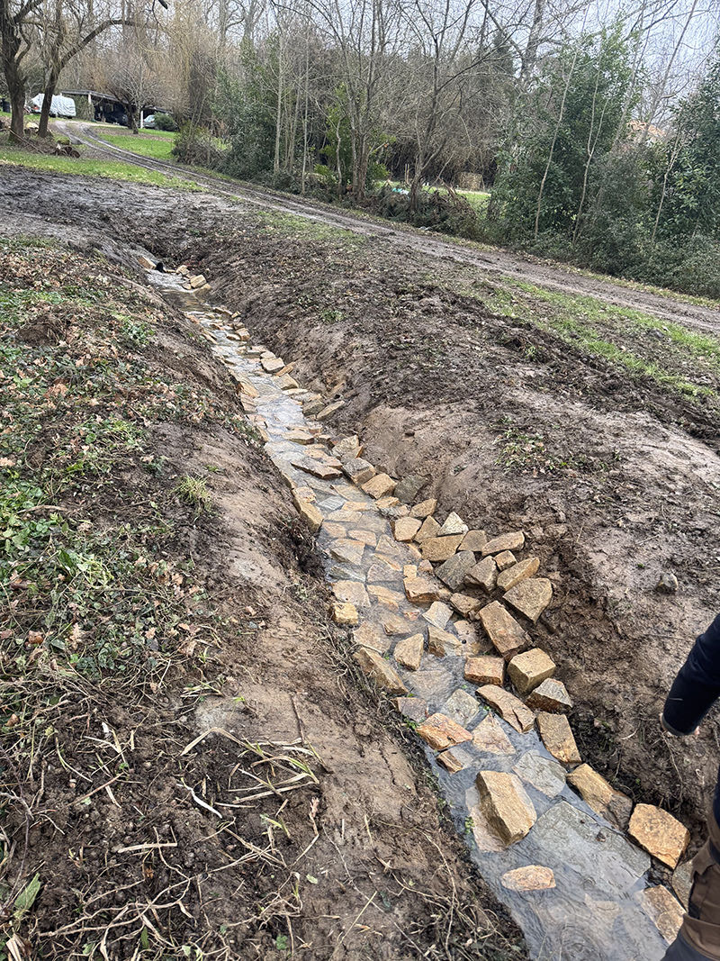 Nettoyage curage étang Limousin Haute-Vienne